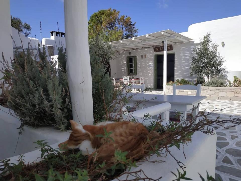 Thalassitra Private Pool Suites Adamantas  Dış mekan fotoğraf